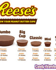 Reese's Peanut Butter Cups Miniatures: 105-Piece Box - Candy Warehouse