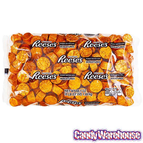 Reese's Peanut Butter Cups Miniatures - Orange: 200-Piece Bag - Candy Warehouse