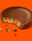 Reese's Peanut Butter Cups Snack Size Packs: 25-Piece Bag - Candy Warehouse