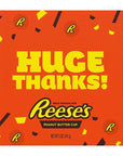 Reeses Large 5-Ounce Peanut Butter Appreciation Cups: 2-Piece Pack - Candy Warehouse