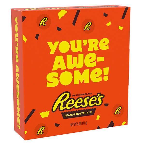 Reeses Large 5-Ounce Peanut Butter Appreciation Cups: 2-Piece Pack - Candy Warehouse