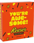 Reeses Large 5-Ounce Peanut Butter Appreciation Cups: 2-Piece Pack - Candy Warehouse