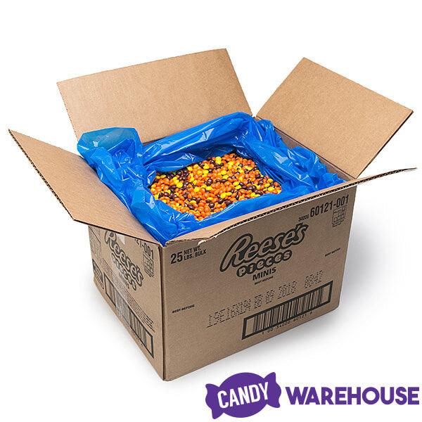 Reeses Mini Pieces Candy: 25LB Case - Candy Warehouse