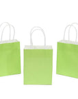 Small Candy Bags with Handles - Kiwi Green: 24-Piece Pack