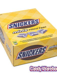 Snickers Minis Candy Filled Plastic Easter Eggs: 12-Piece Display - Candy Warehouse