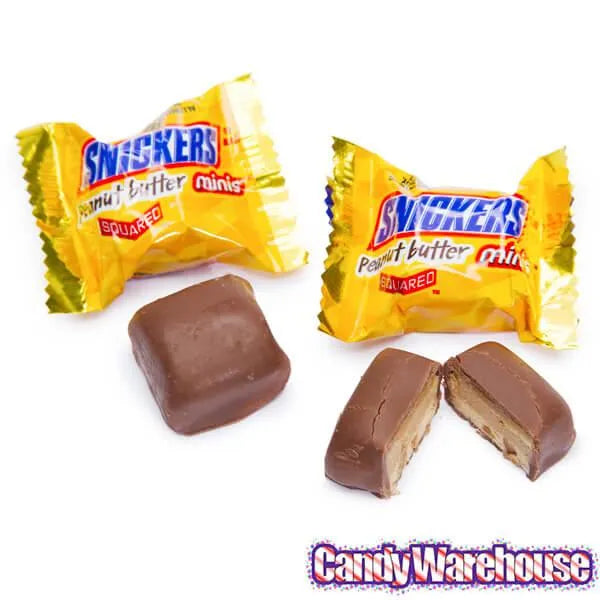 Snickers Peanut Butter Squared Minis Candy: 11.5-Ounce Bag – Candy ...