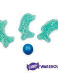 Sour Gummy Dolphins Candy: 3KG Bag - Candy Warehouse