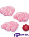 Sour Gummy Piglets: 2KG Bag - Candy Warehouse