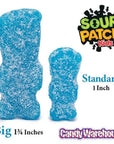 Sour Patch Kids Candy - Berries: 5.4LB Box