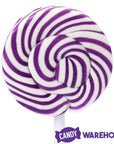 Squiggly Pops Petite Swirl Lollipops - Grape: 24-Piece Jar - Candy Warehouse