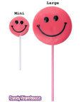 Squire Boone Large Smiley Face Lollipops: 24-Piece Box