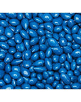 Sunbursts Chocolate Sunflower Seeds - Blue: 1LB Bag - Candy Warehouse