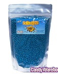 Sunbursts Chocolate Sunflower Seeds - Blue: 1LB Bag - Candy Warehouse