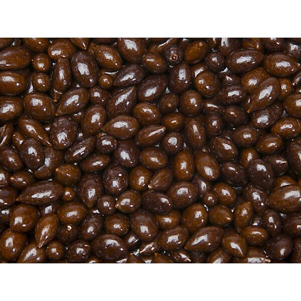 Sunbursts Chocolate Sunflower Seeds - Brown: 1LB Bag - Candy Warehouse