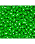 Sunbursts Chocolate Sunflower Seeds - Green: 1LB Bag - Candy Warehouse