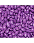 Sunbursts Chocolate Sunflower Seeds - Purple: 1LB Bag - Candy Warehouse