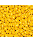 Sunbursts Chocolate Sunflower Seeds - Yellow: 1LB Bag