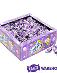 Super Bubble Gum - Grape: 300-Piece Box - Candy Warehouse