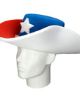 Texas Cowboy Hat