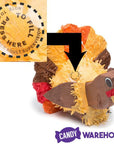 Thanksgiving Turkey Pinata - Candy Warehouse