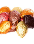 Thompson Foiled Dark Chocolate Autumn Leaves Candy: 5LB Bag