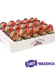 Thompson Foiled Turkey 3.5-Ounce Milk Chocolates: 15-Piece Display - Candy Warehouse