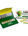 Trident Layers Gum Packs - Green Apple & Pineapple: 8-Piece Box - Candy Warehouse