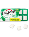 Trident White Spearmint Sugar Free Gum Packs: 12-Piece Box - Candy Warehouse