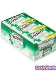 Trident White Spearmint Sugar Free Gum Packs: 12-Piece Box - Candy Warehouse