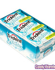 Trident White Wintergreen Sugar Free Gum Packs: 9-Piece Box