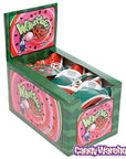 Watermelon Kids Candy: 12-Piece Box - Candy Warehouse