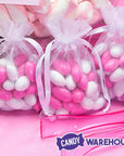 White Organza Candy Bags: 30-Piece Pack