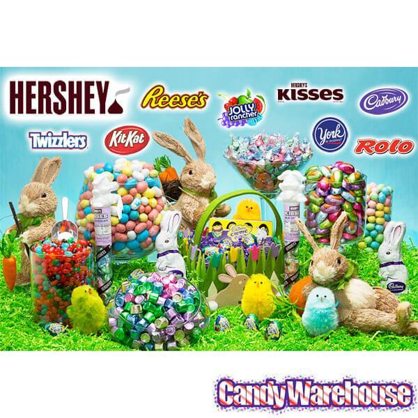 Whoppers Robin Eggs Candy: 9-Ounce Bag - Candy Warehouse