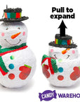 Winter Snowman Pinata