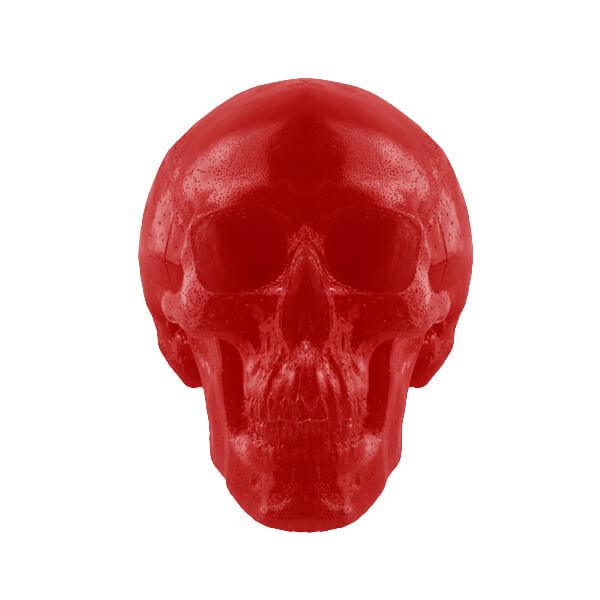 World's Largest Giant Gummy Skull - Candy Warehouse