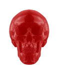 World's Largest Giant Gummy Skull - Candy Warehouse